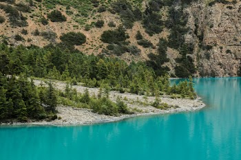 Landscape Photography of Lake and Trees