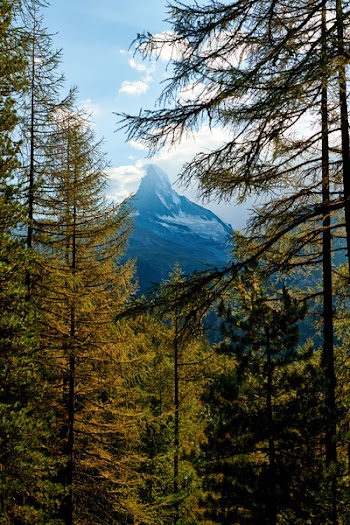 Landscape Photography of Matterhorn Behind Trees
