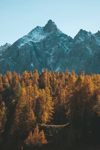 landscape photography of mountain