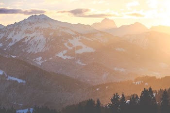 landscape photography of mountains and trees