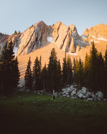 landscape photography of mountains and trees