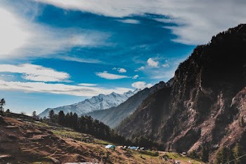 Landscape Photography of Mountains and Trees during Daylight