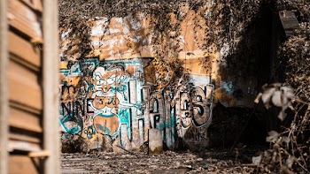 landscape photography of mural paints