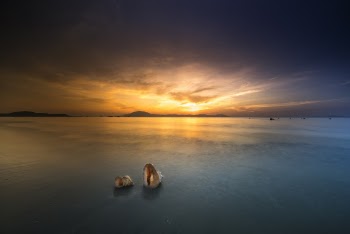 Landscape Photography of Ocean during Golden Hour