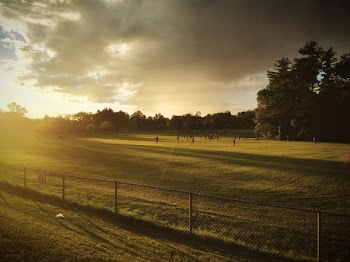 Landscape Photography of People on Green Grass Field