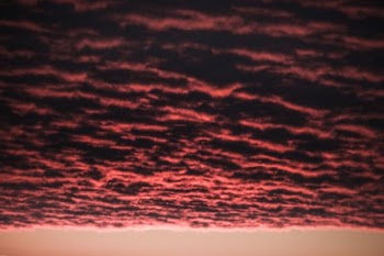 landscape photography of red clouds