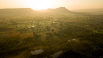 Landscape Photography of Rice Field during Golden Hour