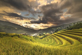 Landscape Photography Of Rice Terraces