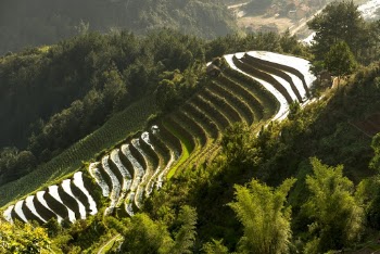 Landscape Photography of Rice Terraces