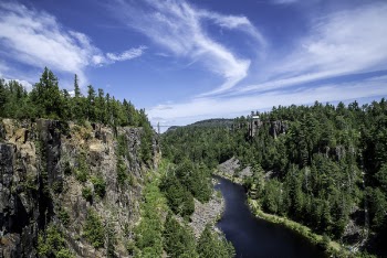 Landscape Photography of River and Trees Under Blue Sky