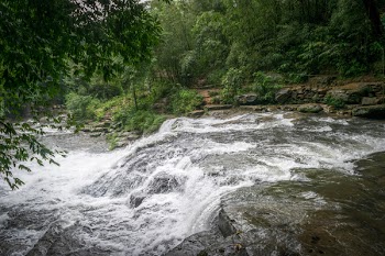 Landscape Photography of River in Forest