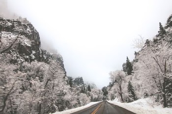 landscape photography of road in the middle of mountains and trees