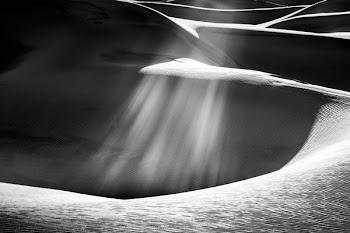 landscape photography of sands