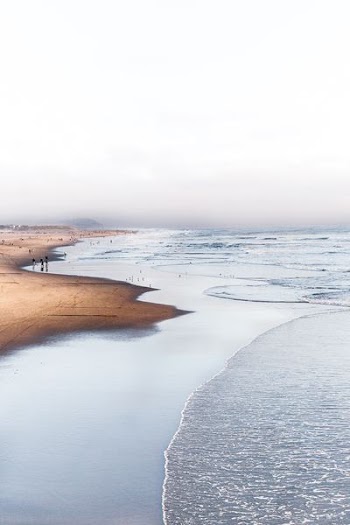 landscape photography of sea shore