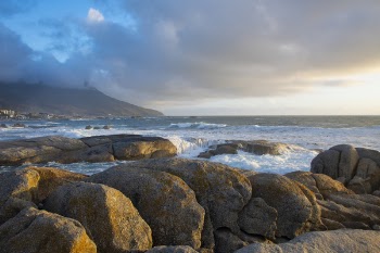 Landscape Photography of Seashore