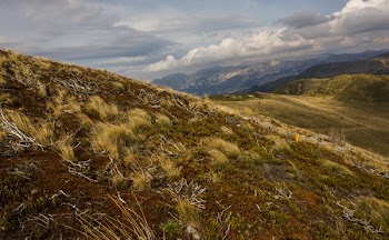 Landscape Photography of Steppe and Mountain Ranges