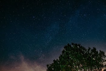 landscape photography of tree under sky
