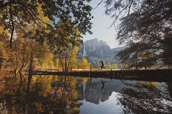 landscape photography of trees and lake