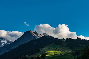 landscape photography of trees and mountains