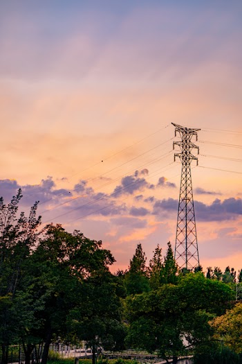 Landscape Photography of Trees Near Electricity Tower during Golden Hour