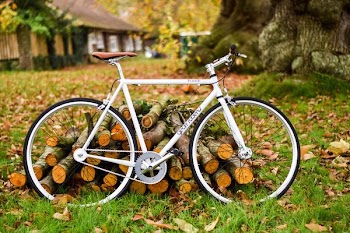 landscape photography of white fixed-gear bike