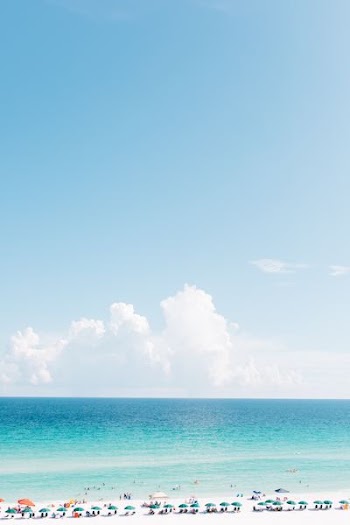landscape photography of white sand beach