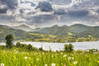 Landscape Photograpy of Nature