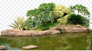 Landscape Rock garden Computer file - Green garden lake 