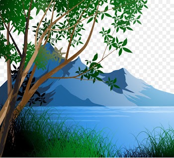 Landscape Royalty-free Drawing Illustration - Vector Forest 