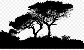 Landscape Silhouette Photography - Silhouette 