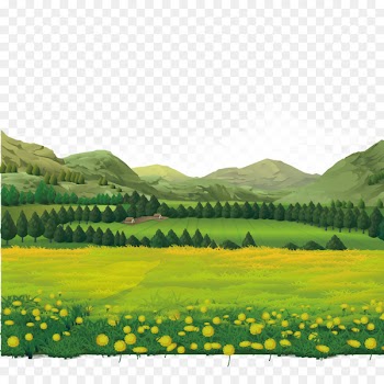 Landscape Theatrical scenery - Rural field flowers 
