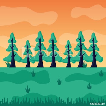 landscape trees forest meadow natural