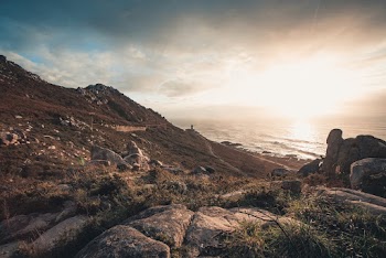 Landscape Under White Sky