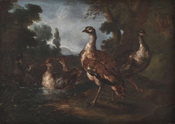 Landscape with birds by Angelo | Free Photo - rawpixel