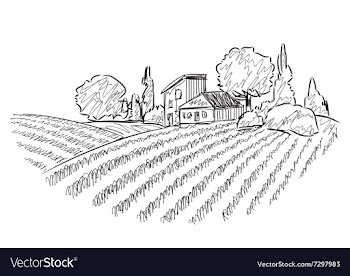 Landscape with Fields vector image