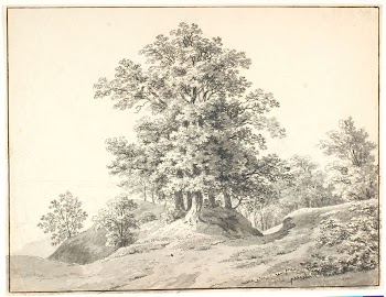 Landscape with large trees by the Elbe.Buxte | Free Photo - rawpixel