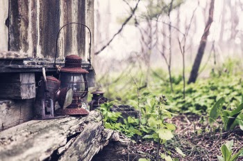 Lantern in Woods Free Photo 