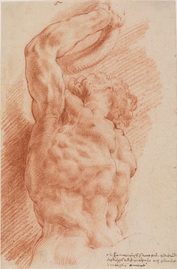 Laocoon. | Free Photo - rawpixel