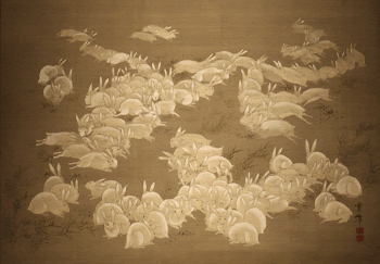 large crowd of white rabbits | Free Photo - rawpixel