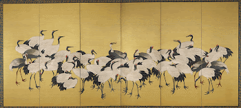 large flock of cranes, with a few | Free Photo - rawpixel