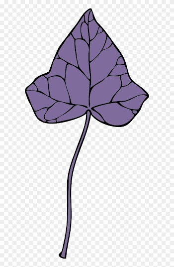 Large Ivy Leaf 7 0 7328 - Clip Art