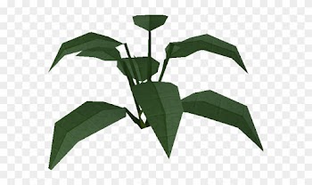 Large Leaf Bush Built - Big Leaf Bush Plant