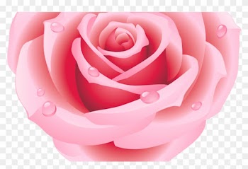 Large Pink Rose Heart Clipart Hearts Pinterest Pink - Heart Rose Tattoo