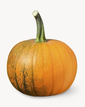 Large pumpkin image, isolated on white | Free Photo - rawpixel