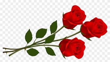 Large Red Roses Png Clipart - Rose Png Hd