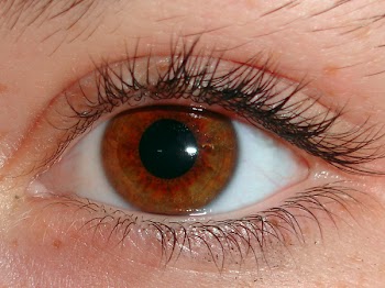 largeeye.jpg