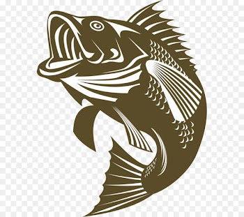 Largemouth bass Bass fishing - Fishing 