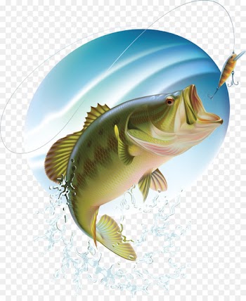 Largemouth bass Bass fishing - Fishing 