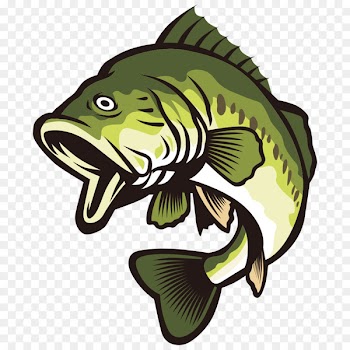 Largemouth bass Clip art - Open your mouth and green fish 