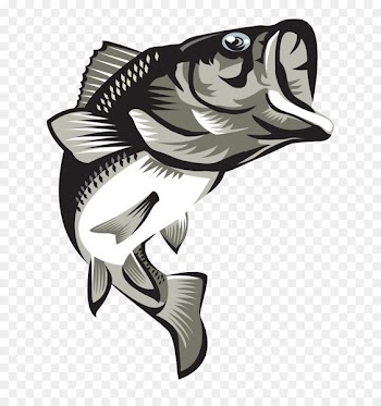 Largemouth bass Computer Icons - large mouth bass 